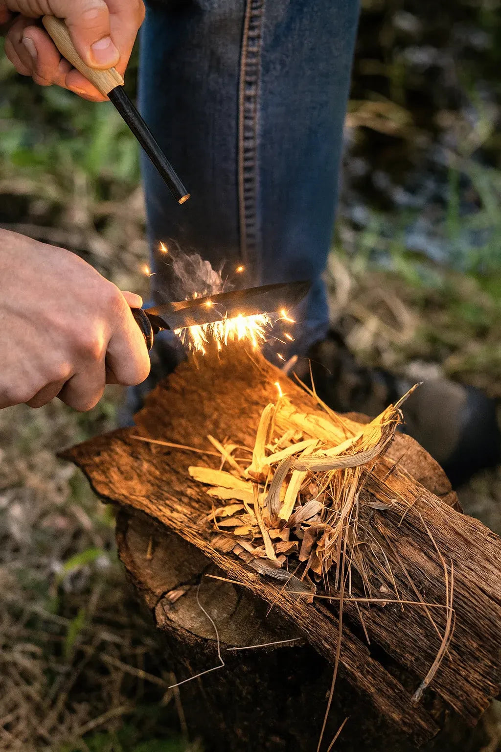 Navigation & Orientation